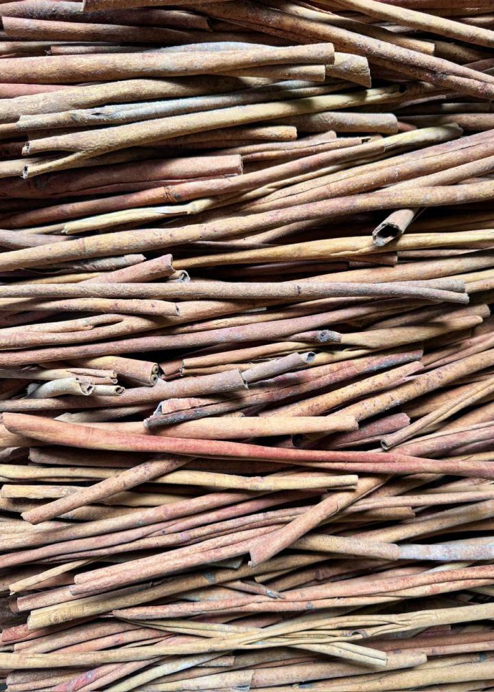 Cinnamon of PT GLOBAL ALAM ANDALAS 1